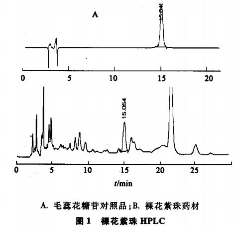 hplc测定裸花紫珠药材中毛蕊花糖苷的含量